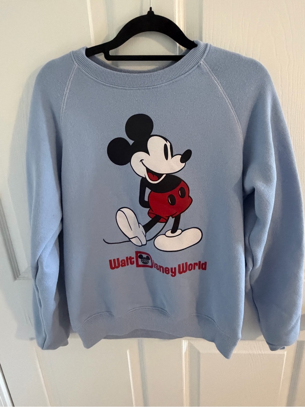 Disney Light Blue Walt Disney World Mickey Mouse Crewneck